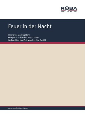 cover image of Feuer in der Nacht